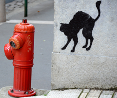 Cliquez sur la vignette pour l'agrandir